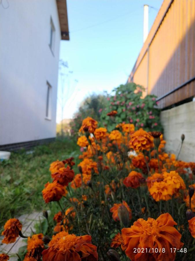 Nestg Guest House Pilipets Екстериор снимка