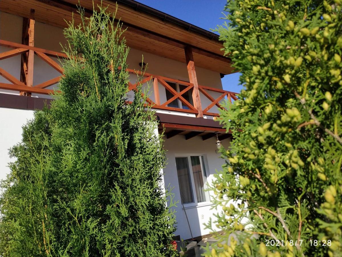Nestg Guest House Pilipets Екстериор снимка