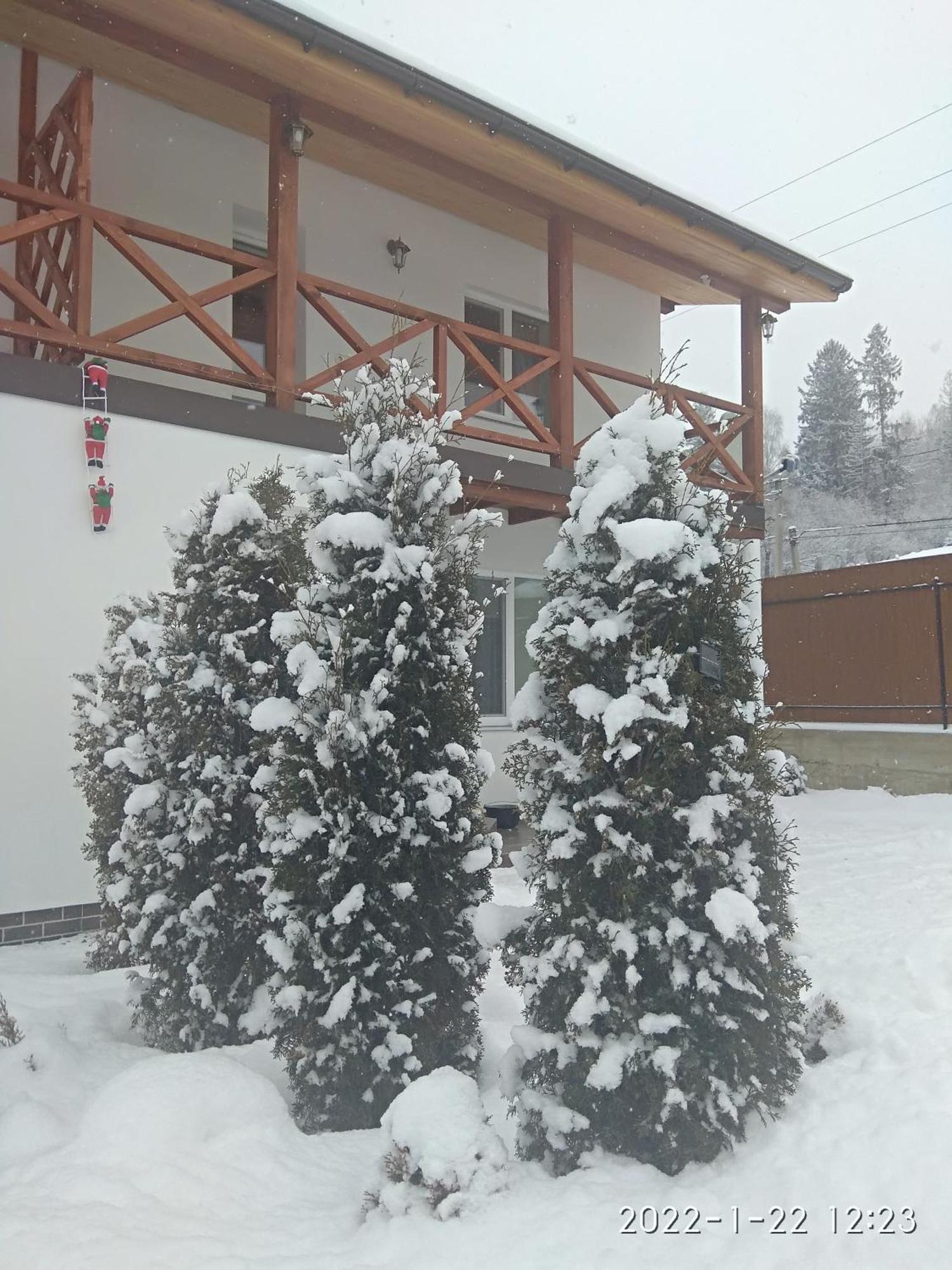 Nestg Guest House Pilipets Екстериор снимка